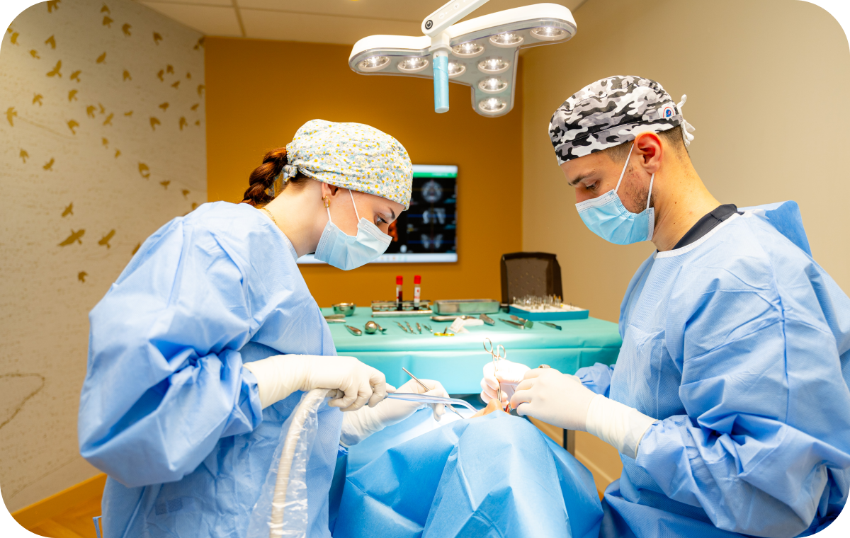 dentiste prevention caries villeneuve d ascq Correspondants Chirurgiens-dentistes | Villeneuve d’Ascq près de Lille